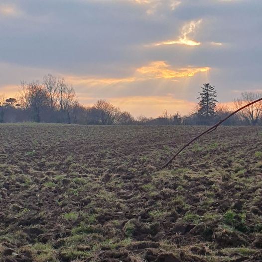 Nos agriculteurs toujours très actifs pour nos rep…