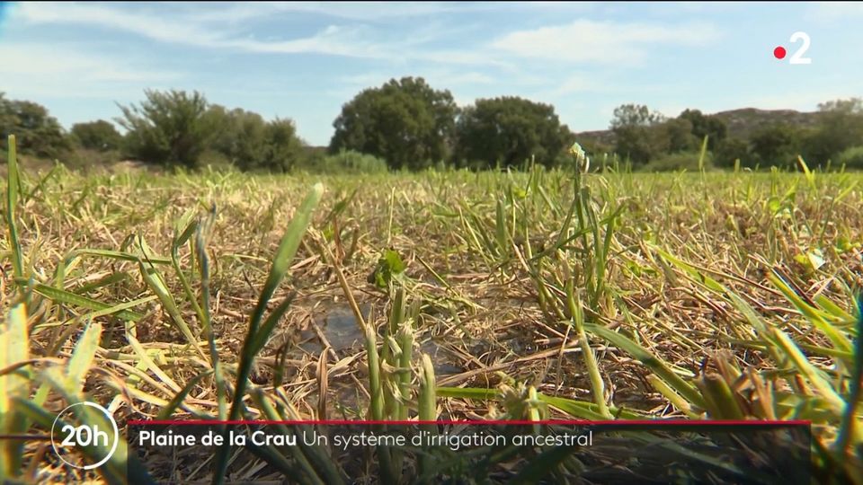 L’irrigation agricole est vertueuse dans la plai…