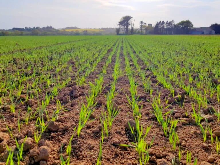 117444995 2368064840155121 6117070965033201837 n - Douarnenez Finistère