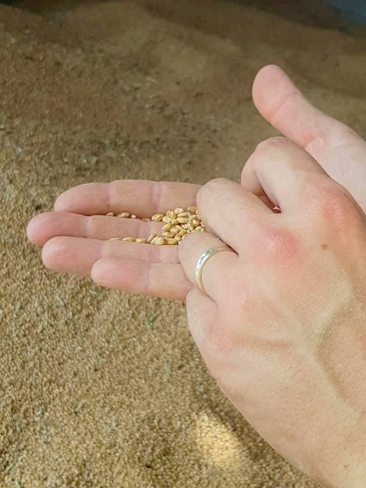 117817119 2370541059907499 4956003538005454249 n - Douarnenez Finistère