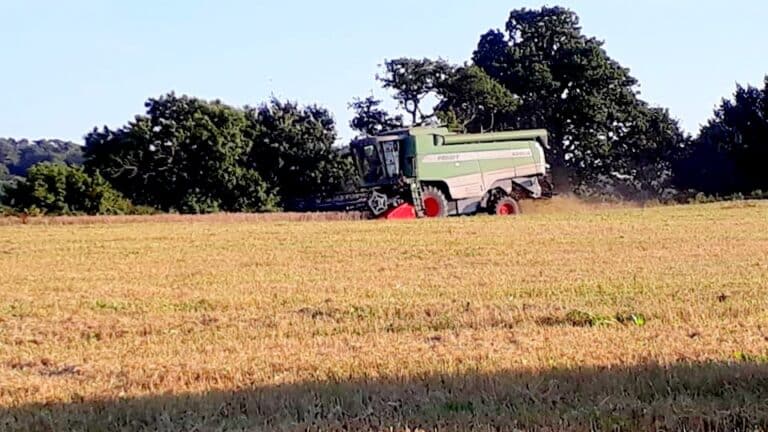 38501149 1872265969735013 4713364674760933376 n - Douarnenez Finistère