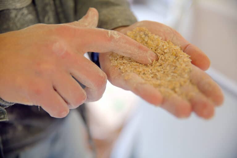 EY1B3019.CR2 - Douarnenez Finistère